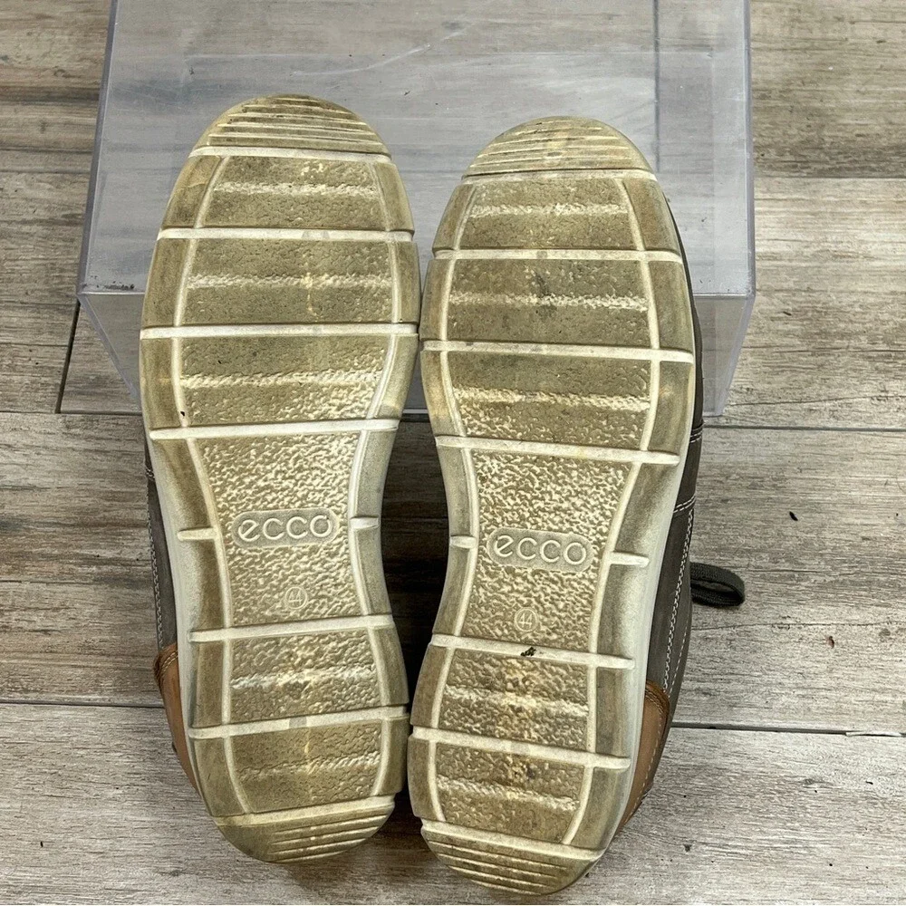 Ecco men iowa